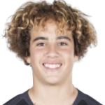 https://img.demeuria.com/img/football/player/fed55db1dfdd36da765ca5c0a098e3c6.png